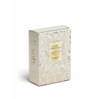 coffret-thes-infusions-de-noel-dammann